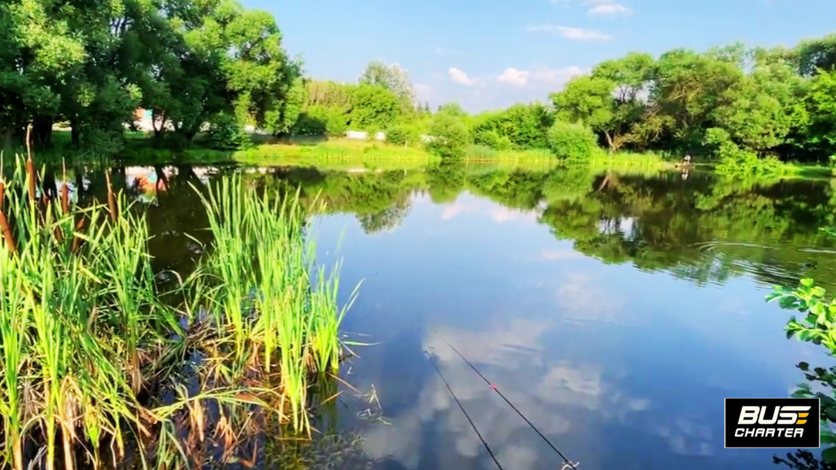 Отдых в Подмосковье с детьми на выходные недорого летом 2025