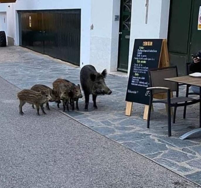 Меню должно быть видно всем 😂