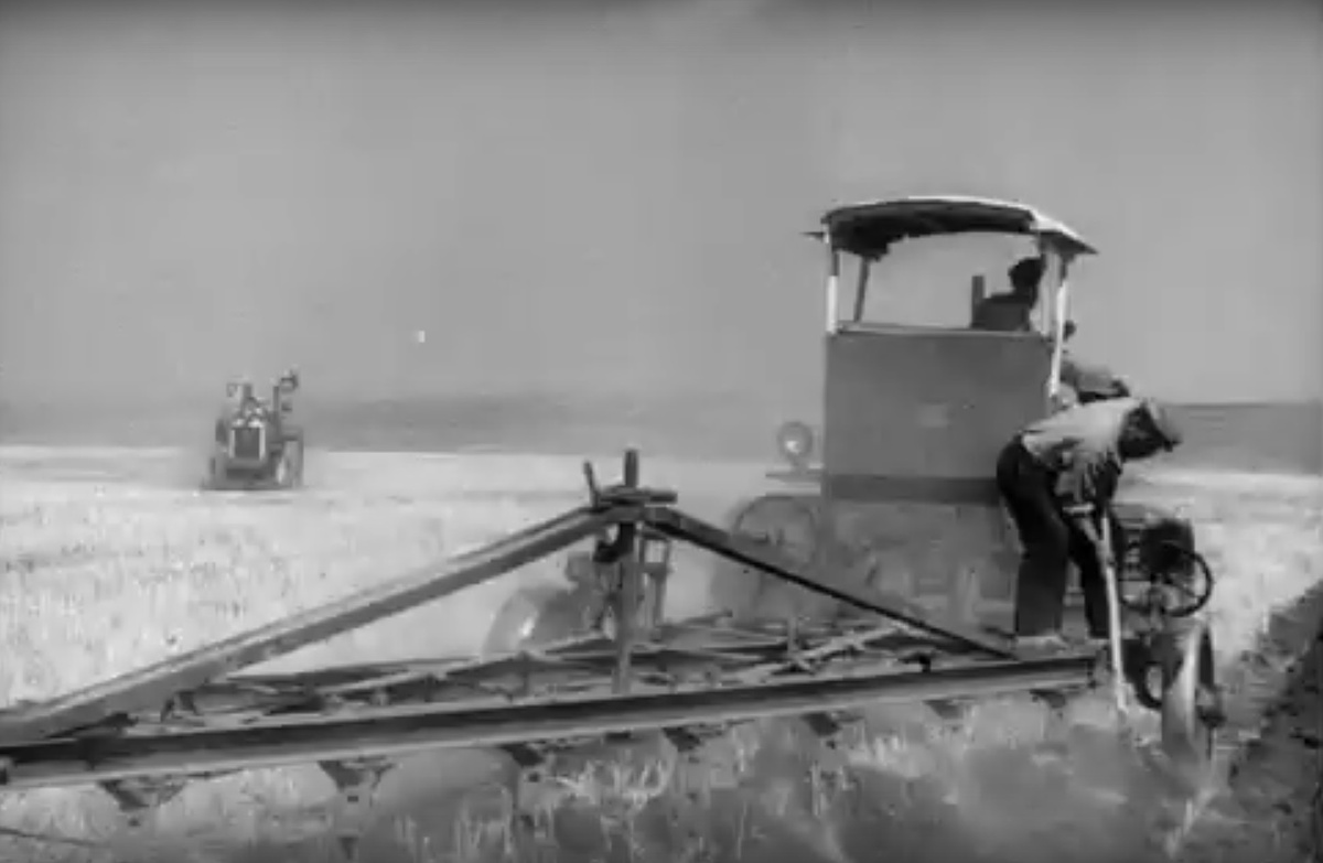 Скриншот автора. Фильм "Трактористы"(1939).  Так было в первой половине прошлого века на полях страны.