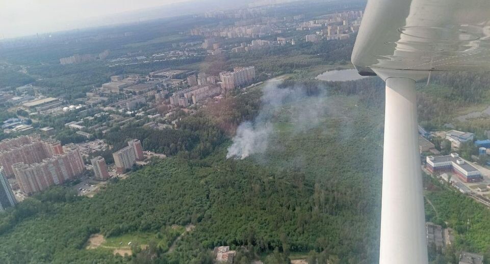    Комитет лесного хозяйства Московской области