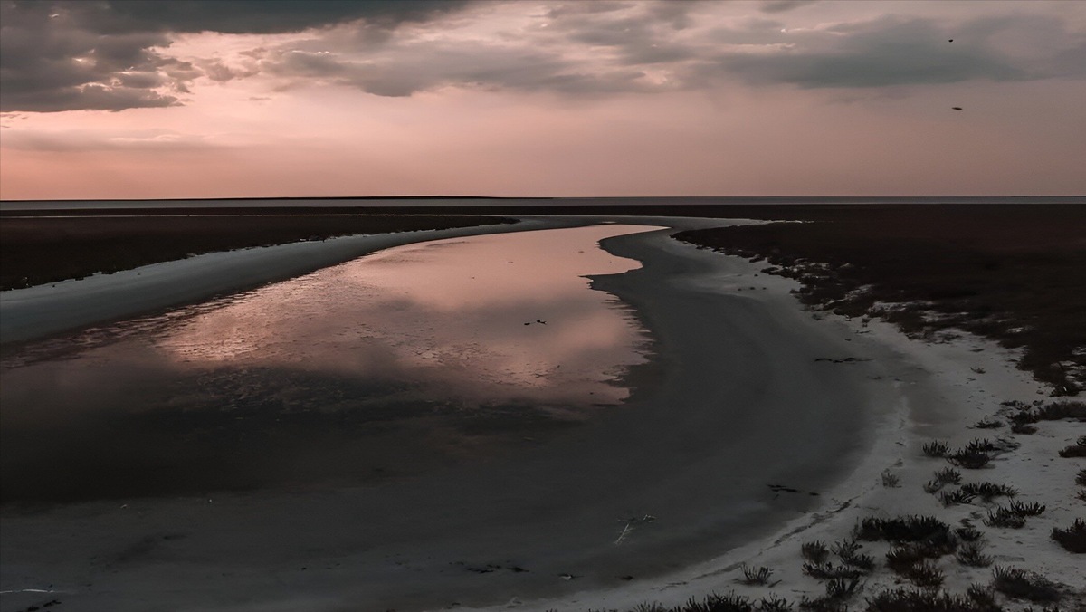 Фото: Алёна Санинская