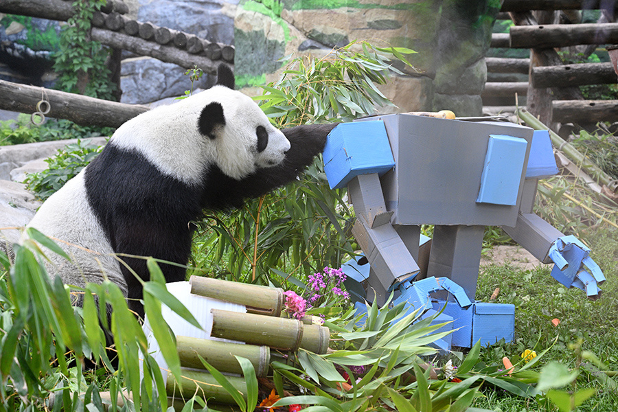    © Рамиль Ситдиков/РИА Новости