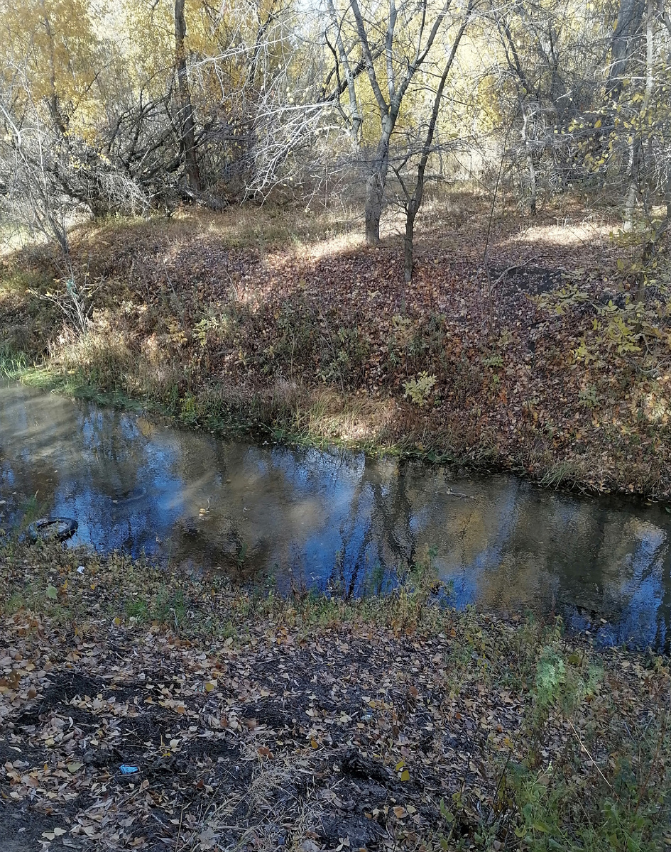 Речка Мечетка на Спартановке. Тут настоящий оазис.