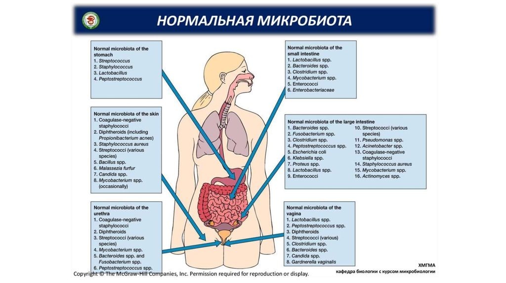 Взято из интернета