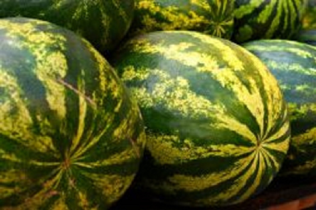    пресс-служба Управления Россельхознадзора по Челябинской и Курганской областям