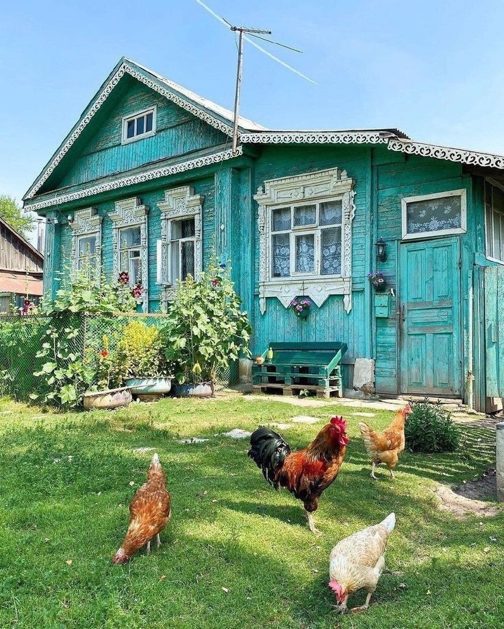Домик в деревне с курочками (источник: Pinterest)