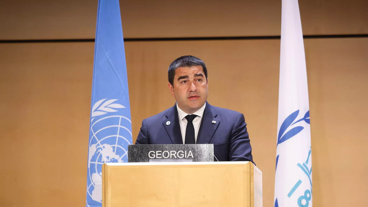 © Courtesy of Shalva Papuashvili