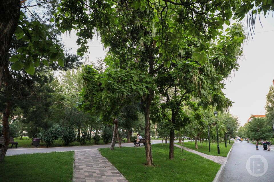    Фото: Дмитрий Рогулин / "Городские вести"