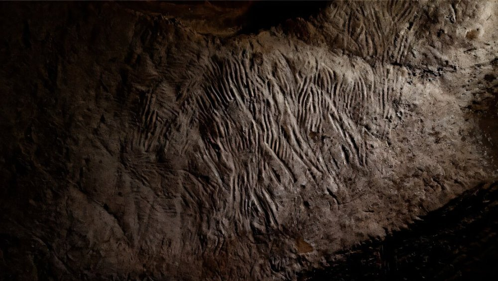 Редкие отпечатки пальцев, сохранённые в кристаллических стенах