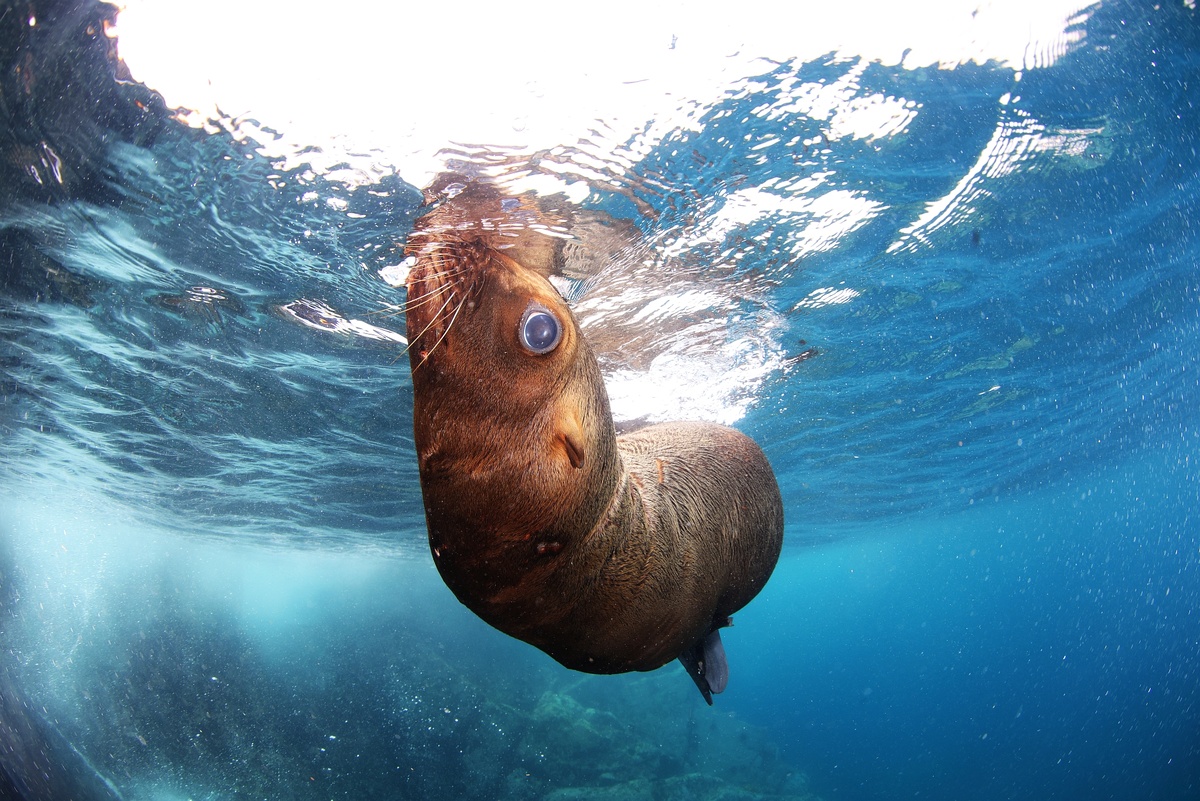 Фотографии лушче открывать на полный экран чтобы была видна взсесь