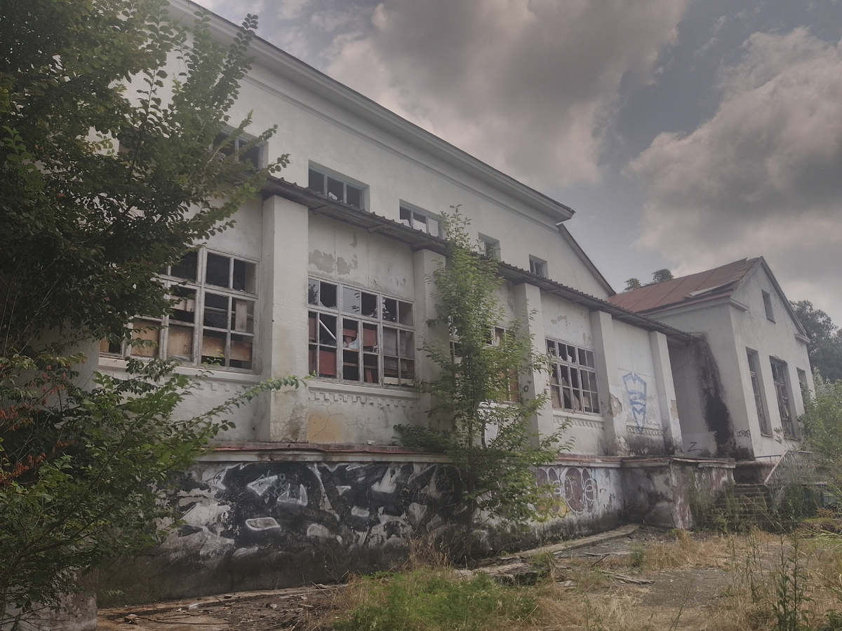 Фото автора статьи