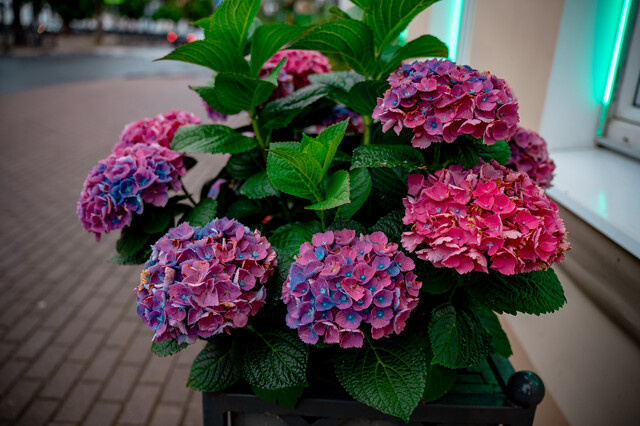 Названы самые социально эффективные организации и предприятия Тверской области