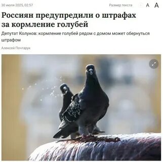 Фото из открытых источников 