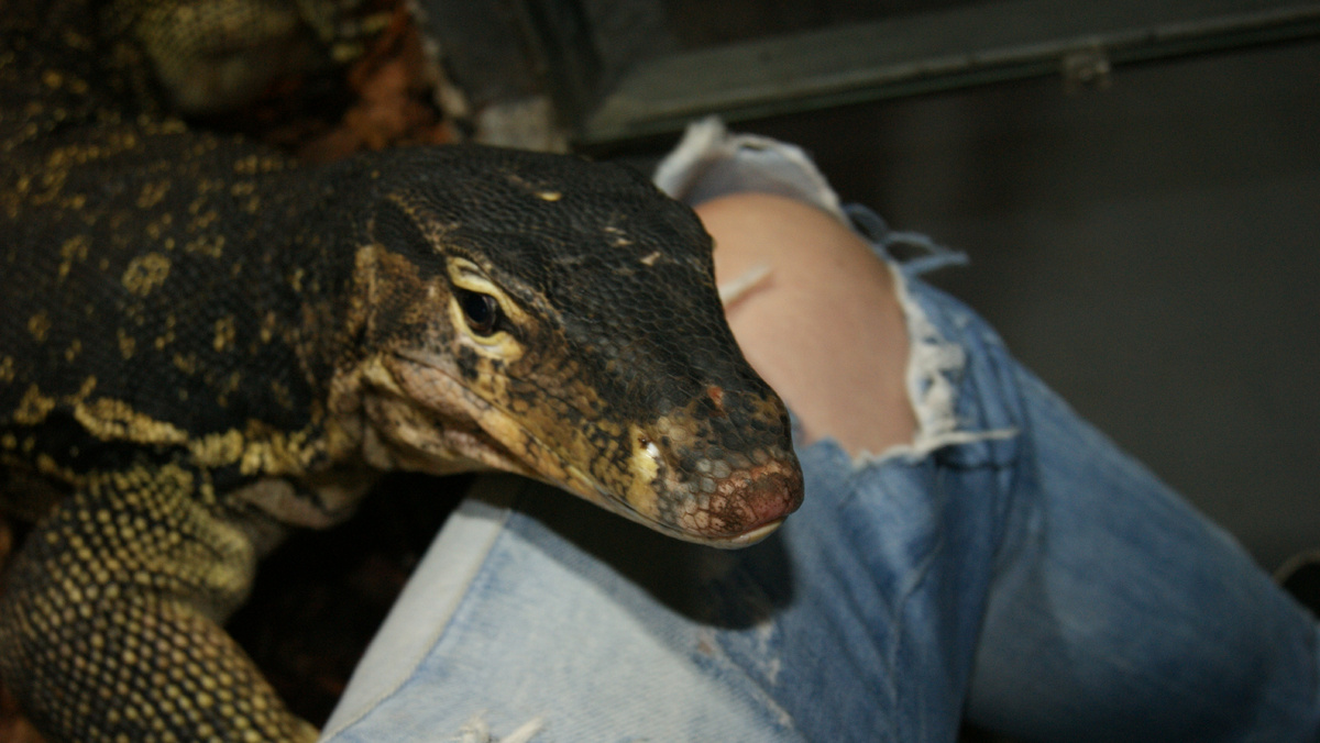 И на ручках посидеть люблю