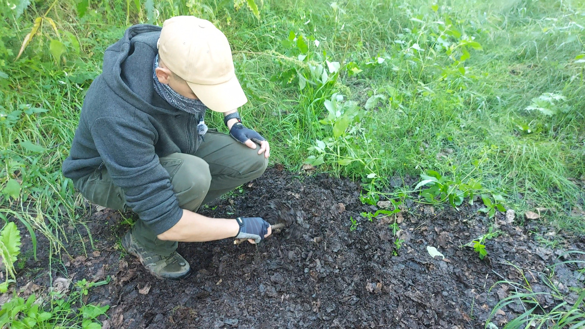 Копаем червей