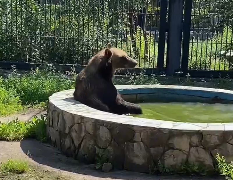 Фото: https://vk.com/zooparkvrn