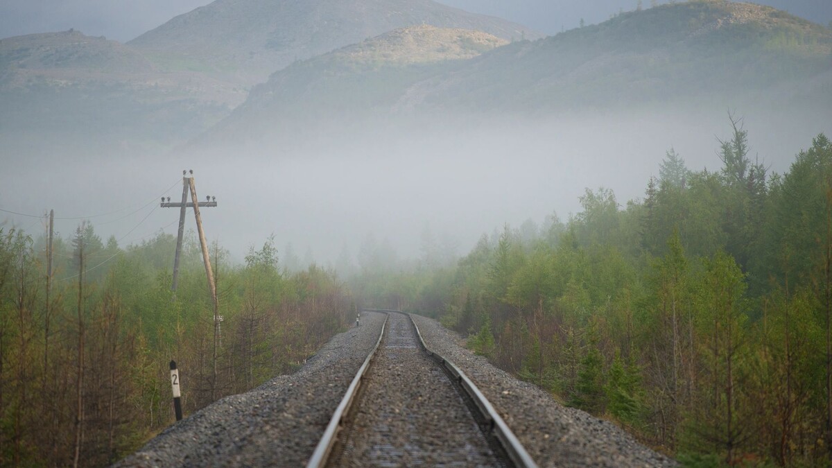    Фото: Karasev Viktor / Shutterstock / Fotodom