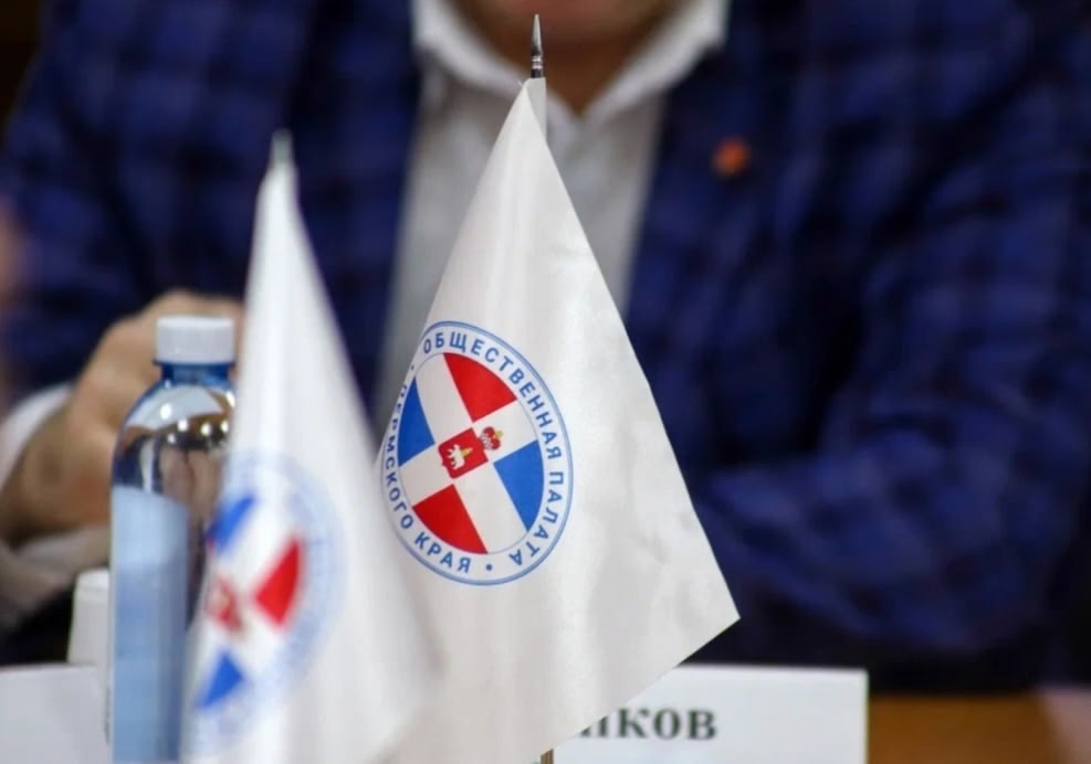    Фото: Общественная палата ПК/VK Ульяна Бажанова