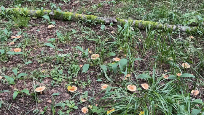 Фото автора. Архив