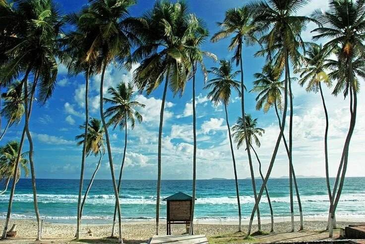 Прекрасные пляжи Венесуэлы могут превратиться из красивой картинки в реальность