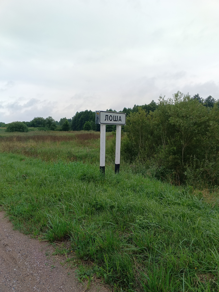 фото автора: маленькая белорусская деревушка на границе с Литвой, когда-то мы спокойно ездили через Вильнюс домой и в Белоруссию. Сейчас здесь пограничная зона с Евросоюзом. О Вильнюсе не приходится мечтать, въезд по визе