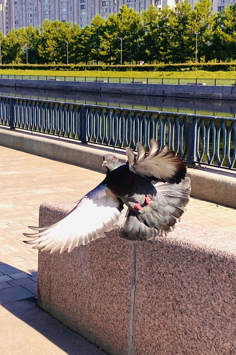 Авторское фото