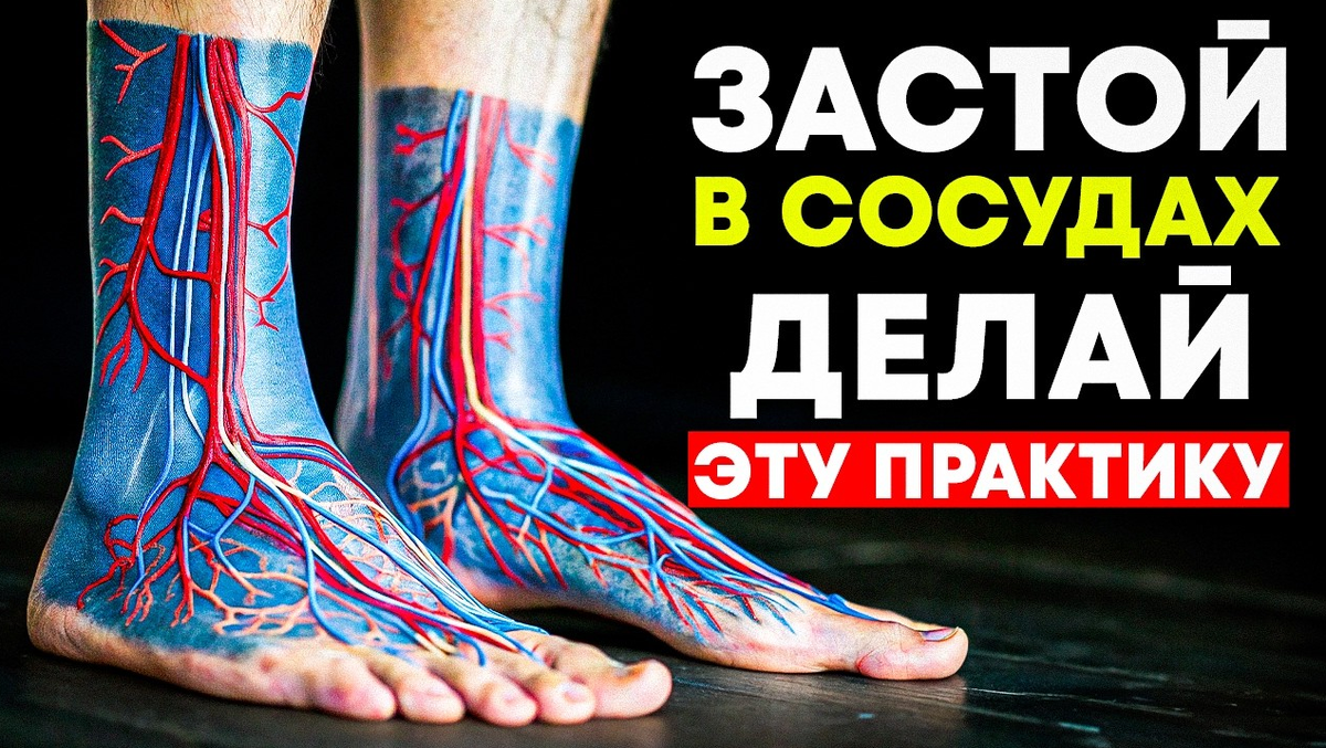 Застой в сосудах