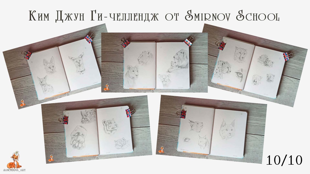 Финальная склейка с основными набросками для конкурса