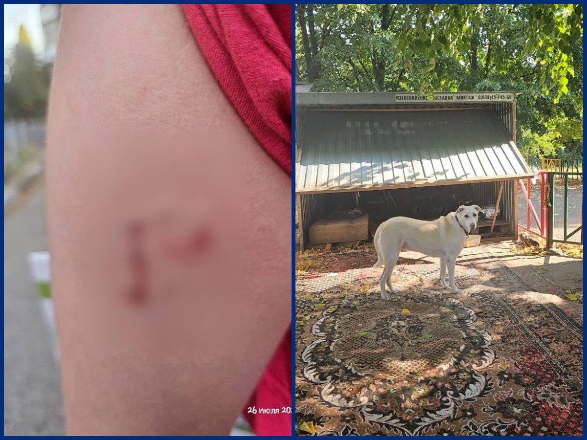 Фото: читательница «Блокнота Краснодар"