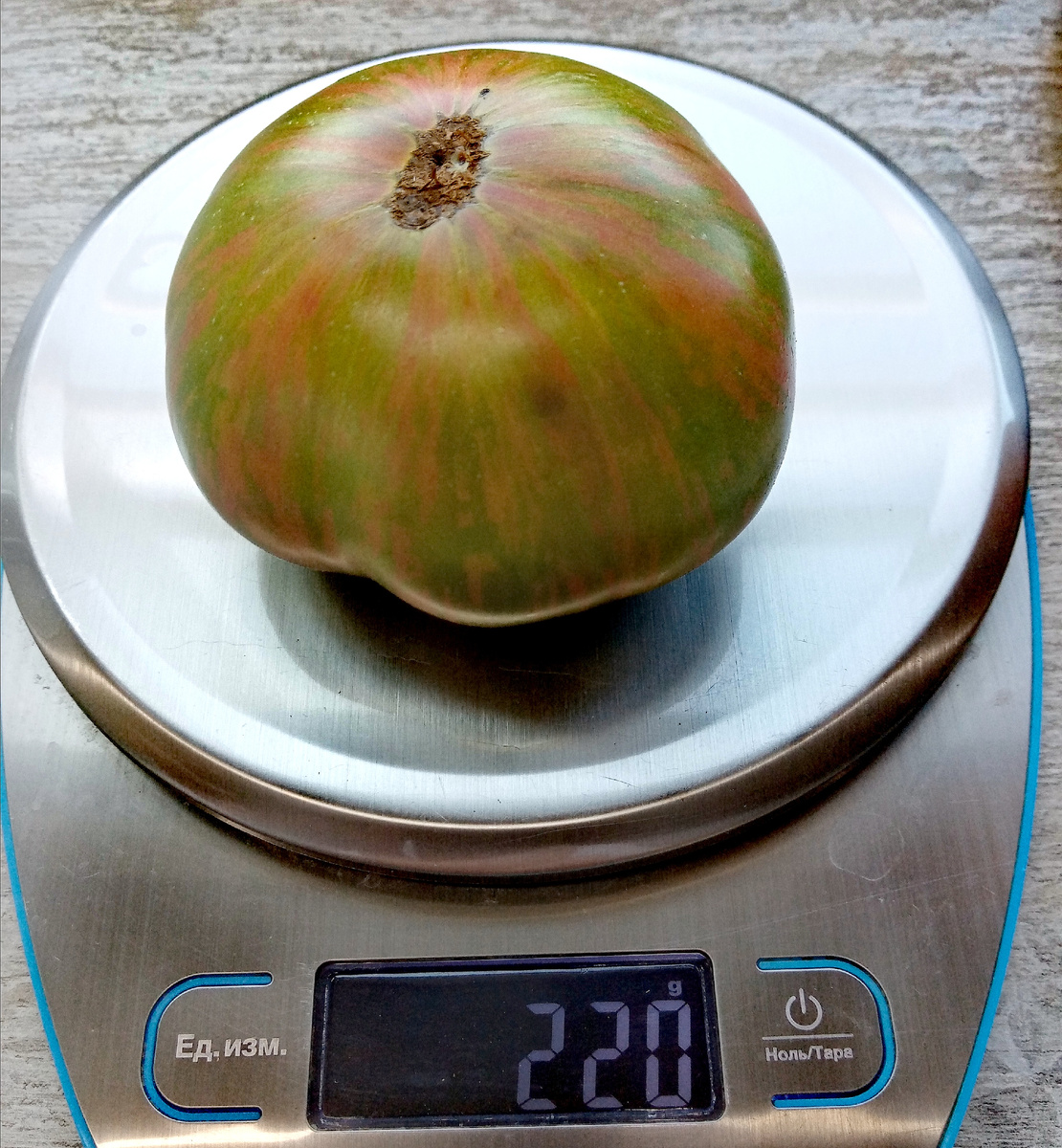 Фото автора от 30.07.2025г. Средний плод весит около 200 граммов.