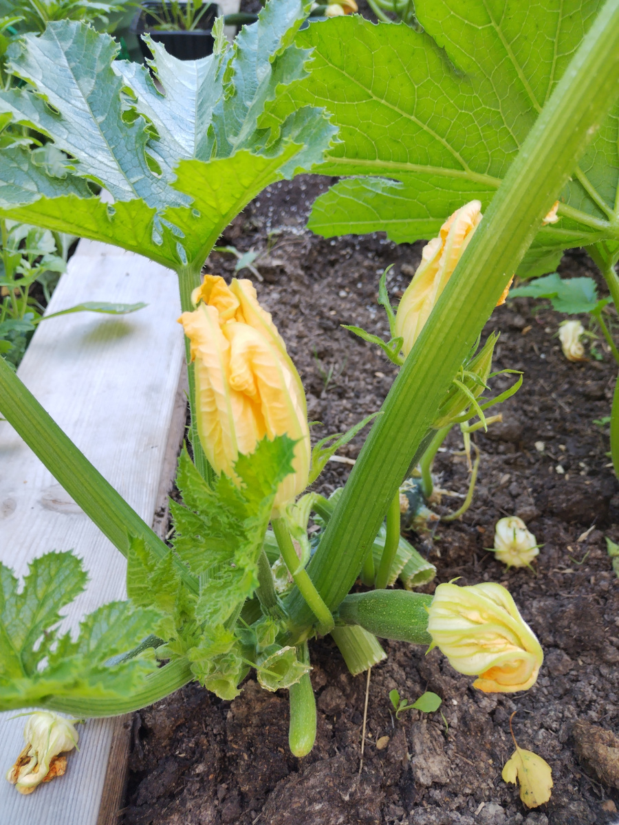 Фото автора! 