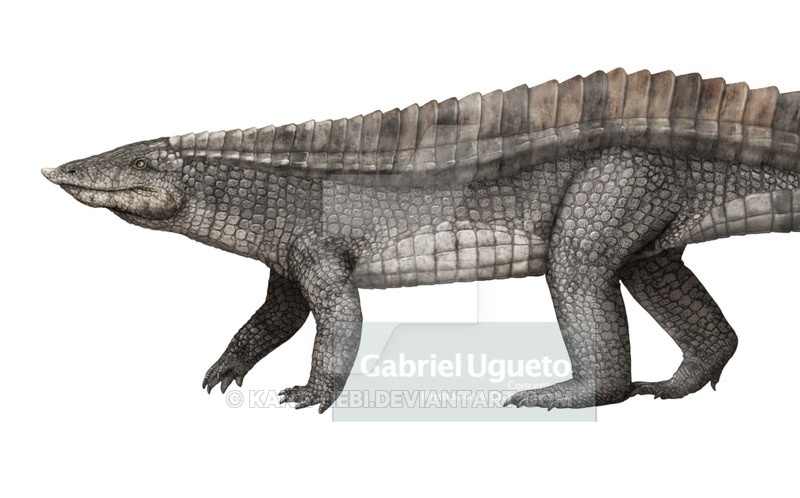 Калиптозух от Габриэля Угуэто.