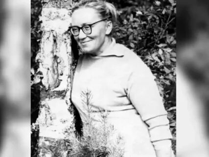 Фото из свободного доступа