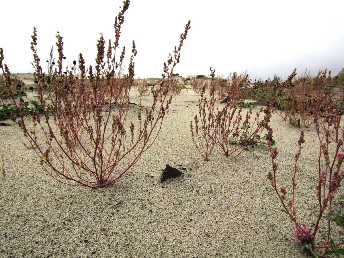солеросы на кварцевом карьере