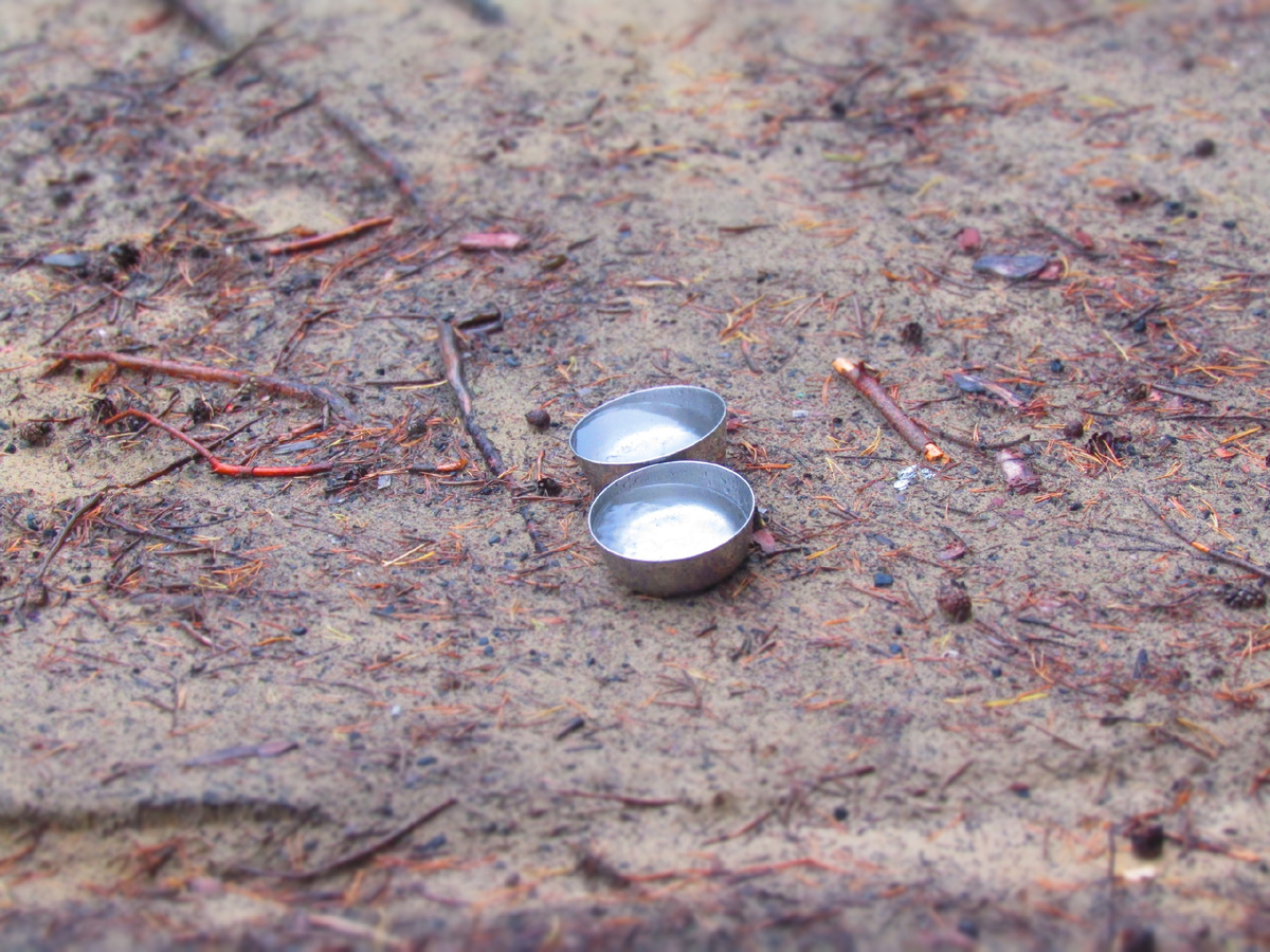 собираю дождевую воду