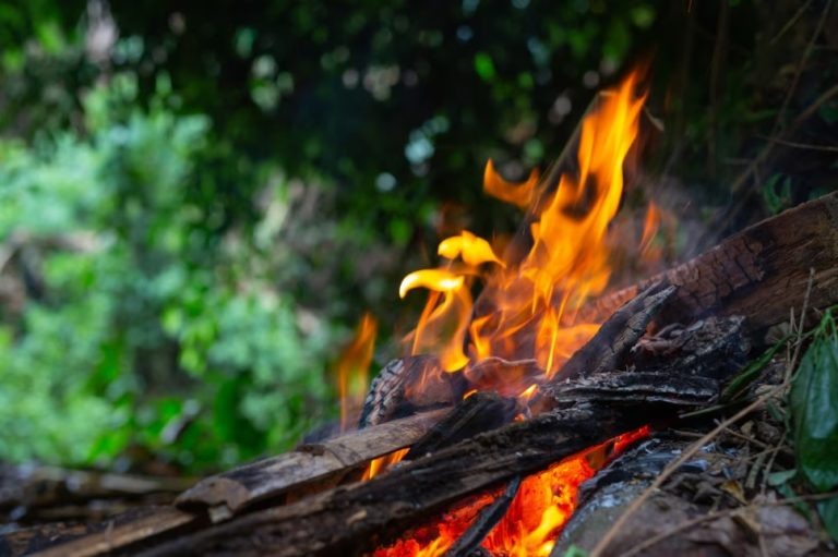    Фото: t.me/mchsYakutia_vopros Александра Горохова