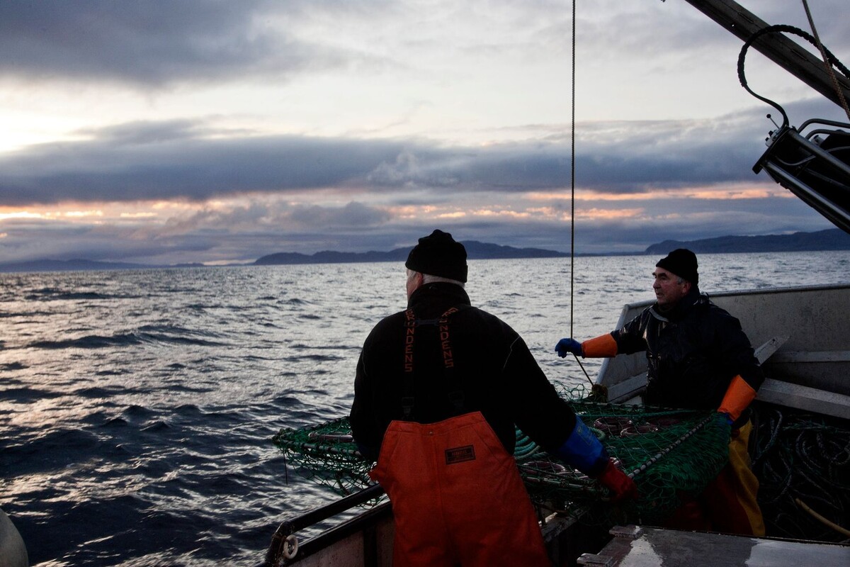     / Источник: © Global Look Press