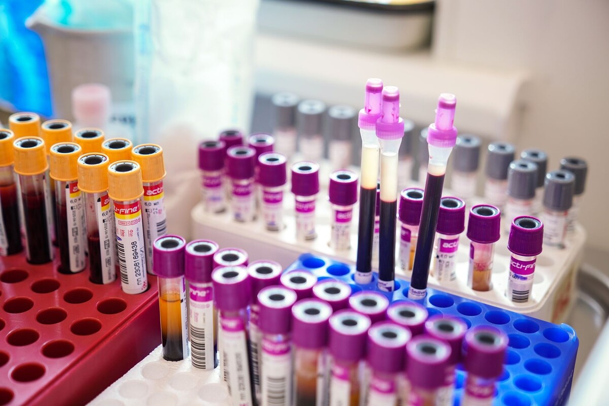     / Источник: © ИЗВЕСТИЯ/Сергей Лантюхов