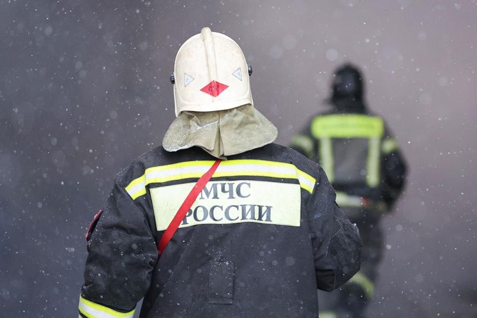    Алексей Белкин/NEWS.ru