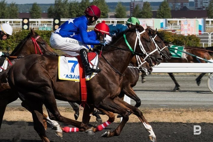   Максим Платонов / realnoevremya.ru