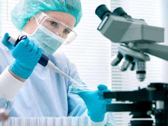    Фото: depositphotos/alexraths