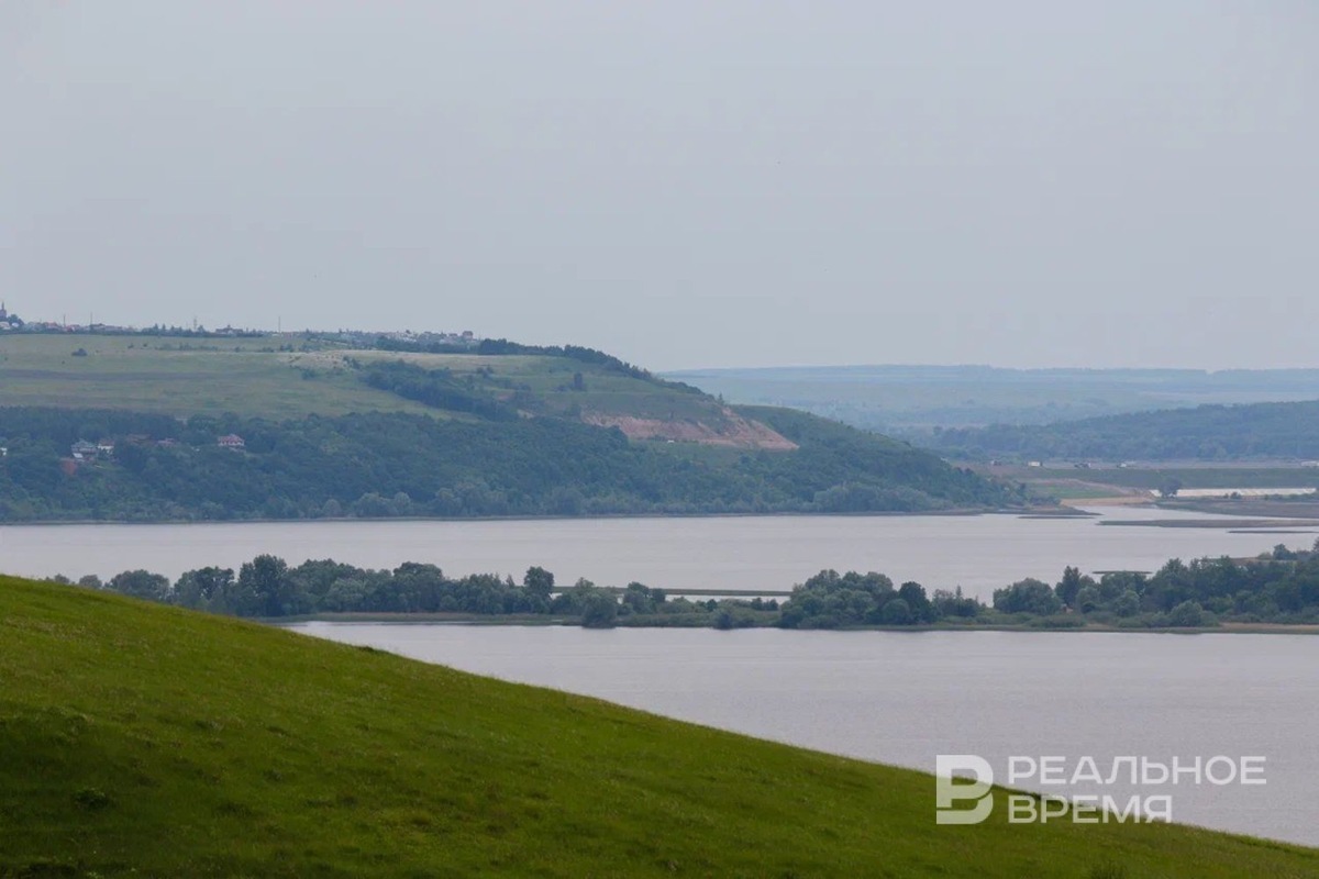   Артем Дергунов / realnoevremya.ru