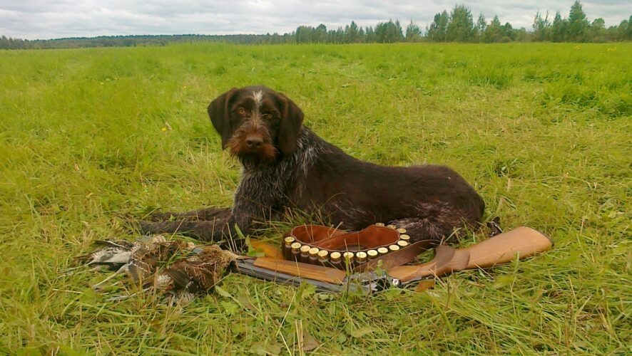    Из личного архива Михаила Винокурова