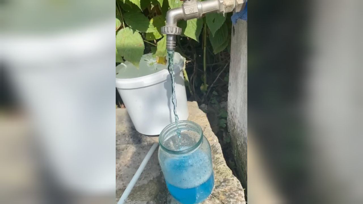 Скриншот видео t.me/novosti_novoross