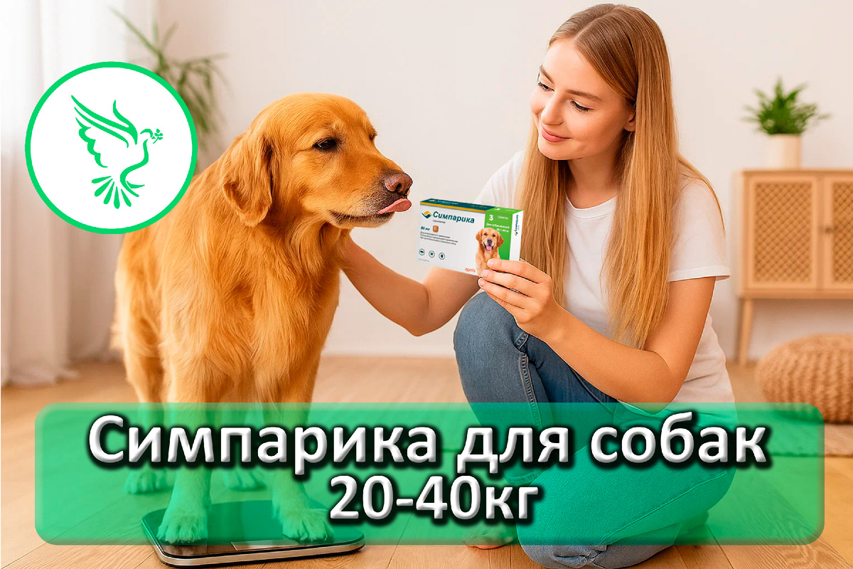Симпарика — антипаразитарный препарат для собак
