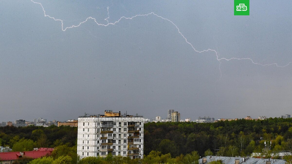    Фото: РИА Новости © 2025, Владимир Астапкович