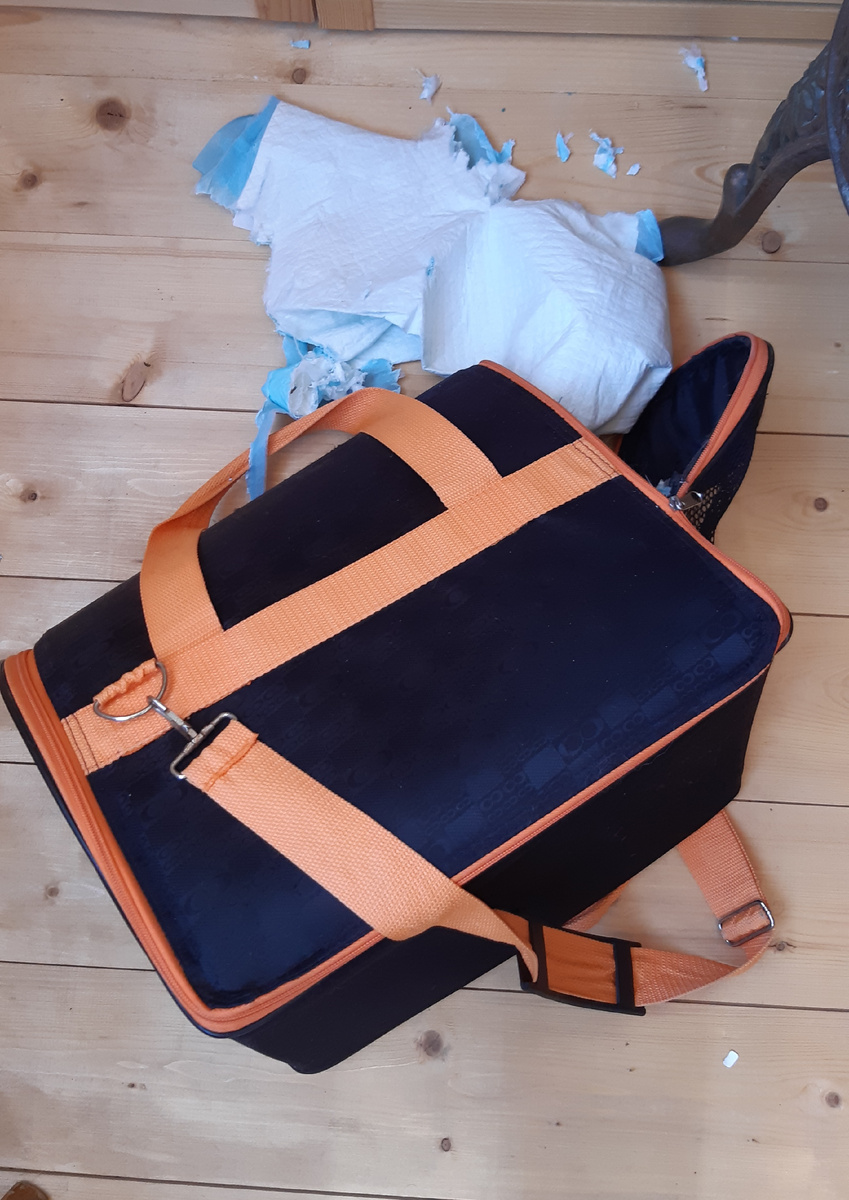 Всё, что осталось от пелёнки.