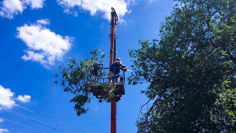      Фото: «Россети Северный Кавказ»