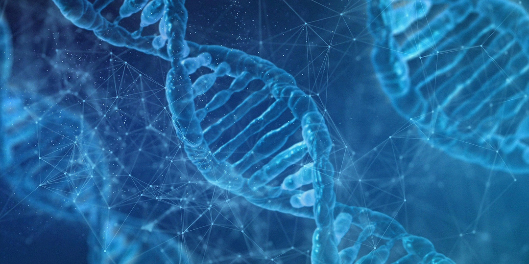 Арома-футурология: как мы будем лечиться запахами в 2030 году