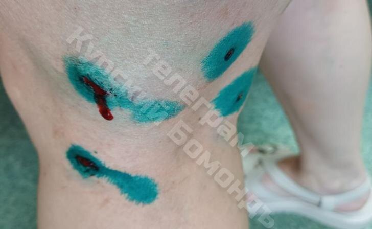    фото Курские известия